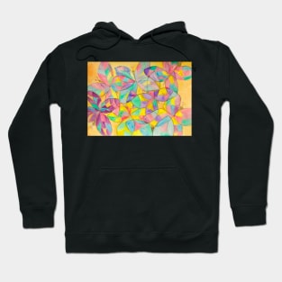 Colourful butterflies Hoodie